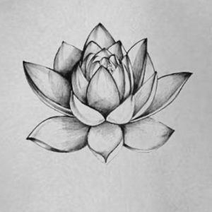 Meet your Posher, Krikrista